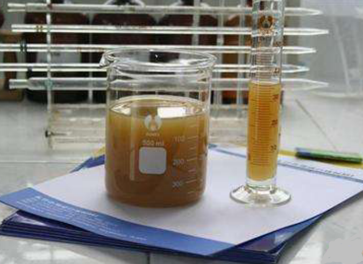 聚丙烯酰胺實(shí)驗(yàn) 聚丙烯酰胺實(shí)驗(yàn)